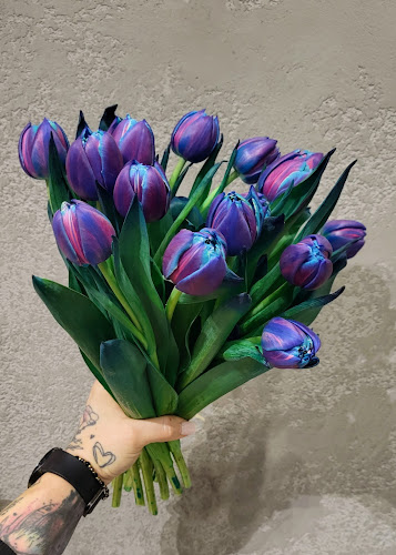 Kwiaciarnia Frezja - Kwiaciarnia