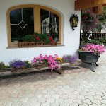 Photo n°4 de l'avis de Stefania.o fait le 14/08/2019 à 13:55 sur le  Hotel Schönwald à Valler Tal