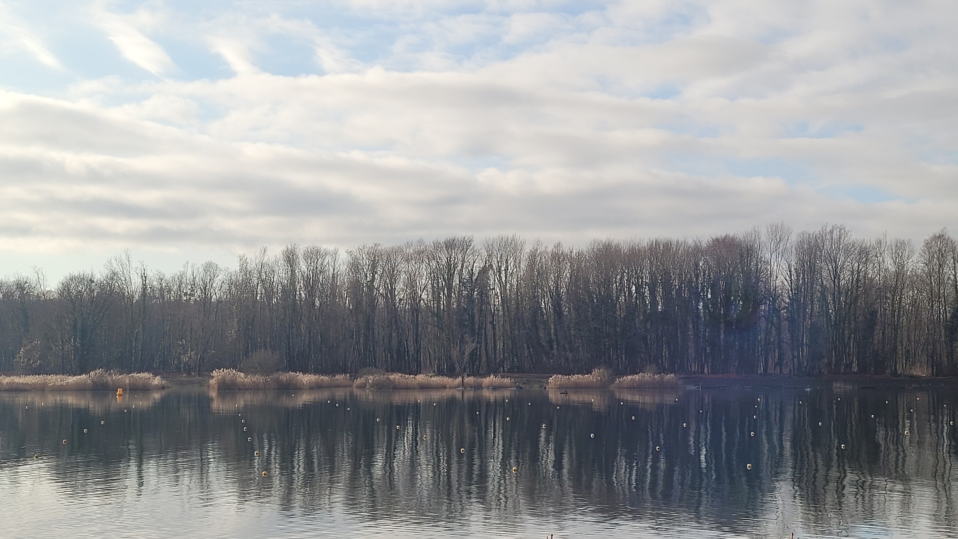 Photo n° 5 de l'avis de Alain.o fait le 31/01/2024 à 16:44