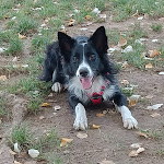 Photo n° 1 de l'avis de Akkim.j fait le 23/11/2022 à 22:19 pour City Véto à Montpellier