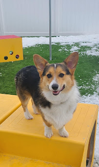 Camp Run-A-Mutt Waterloo - Photo 7 - Car repair in Waterloo, IA, Waterloo