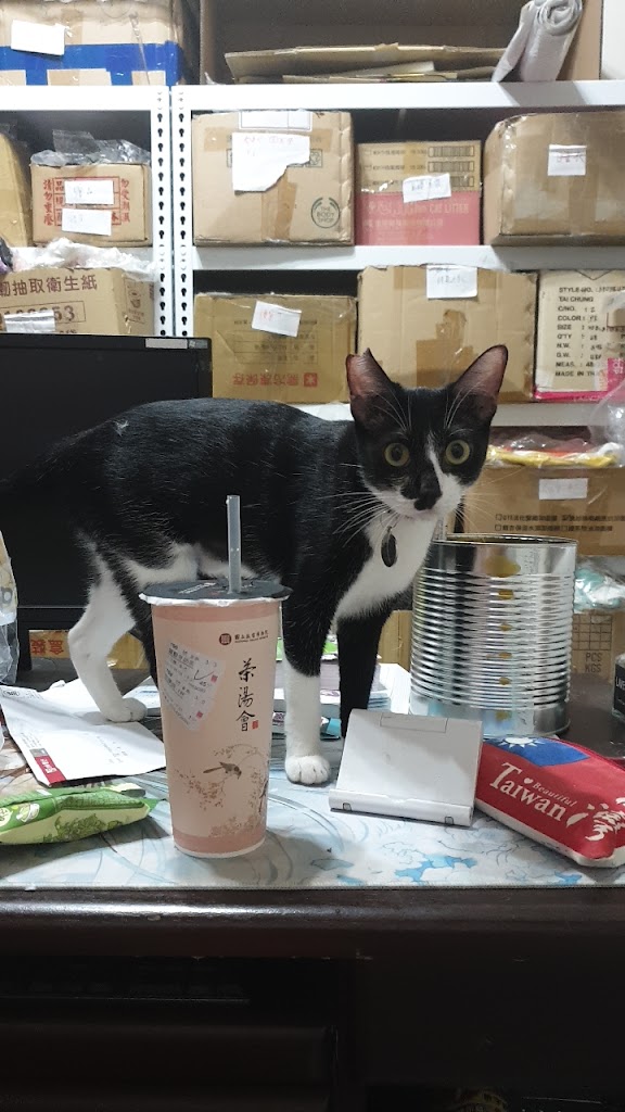 茶湯會-龍東店 的照片