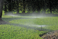 ArborLawn - Photo 8 - Car repair in Lansing, MI, Lansing