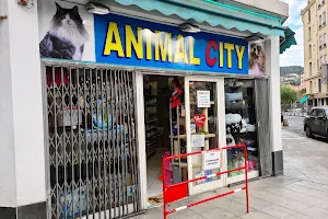 Animal City & Co image