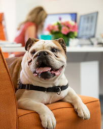 Dani Werner Photography - Photo 8 - Car repair in Minneapolis, MN, Minneapolis