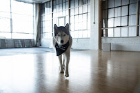 Scott Sprague Photography - Photo 7 - Car repair in , Detroit