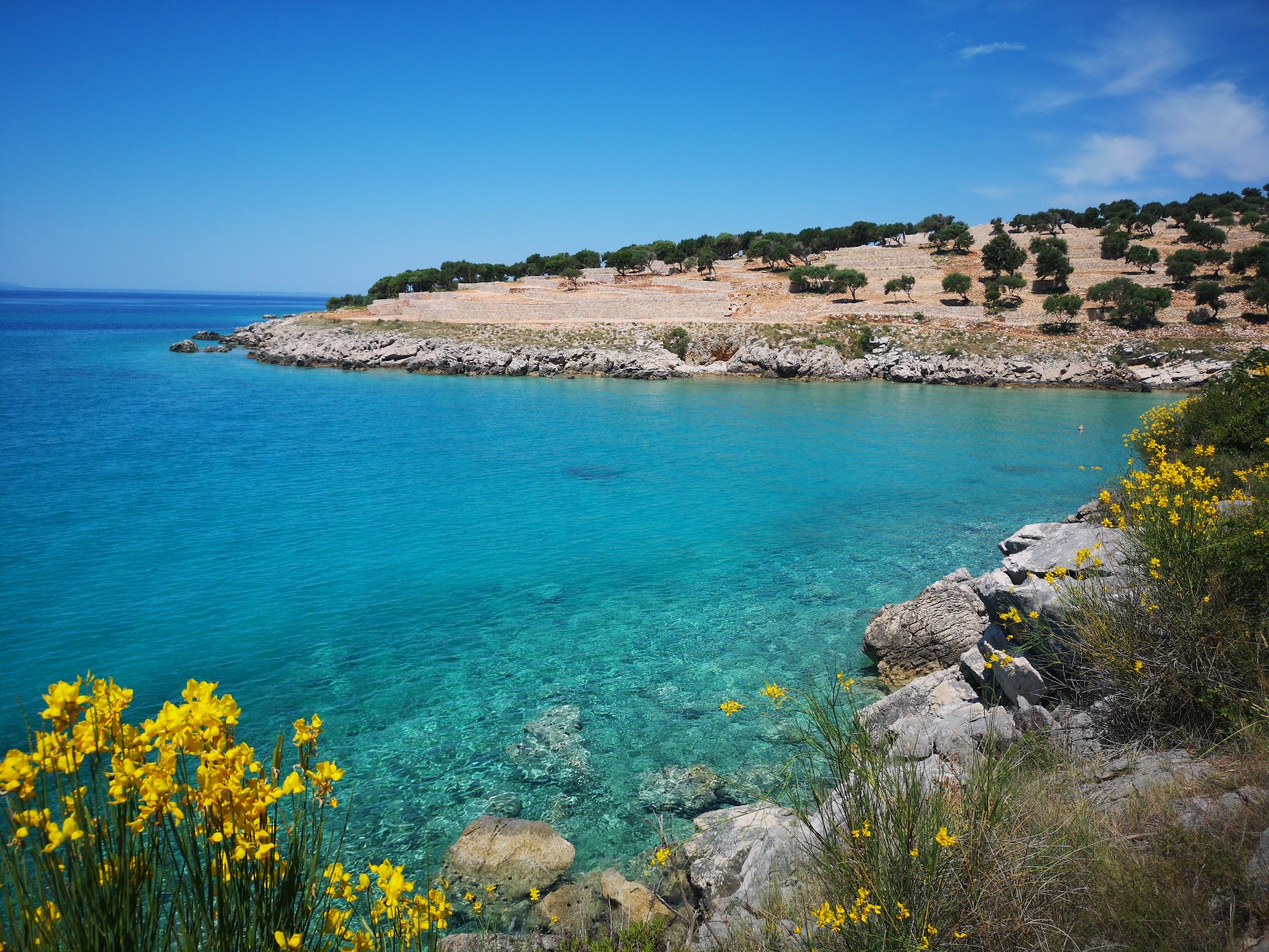 Borovici beach photo #8