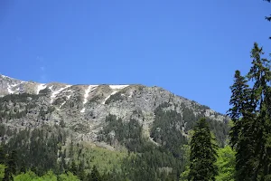 Kirilova Polyana Meadow image