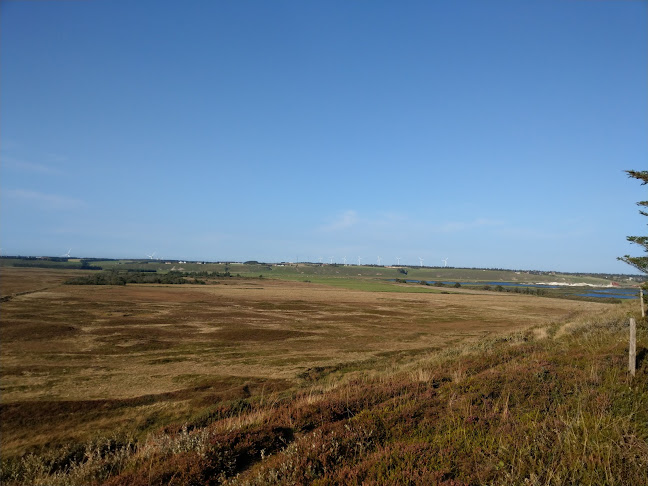 Hanstholm Wild Reserve viewpoint