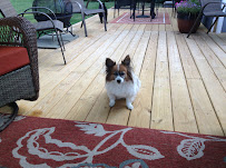 Motherearth's Petcare - Photo 3 - Car repair in Southington, CT, Hartford