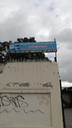 Opiniones de GELICARGOTM S. A. en Quito - Servicio de transporte