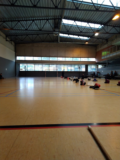 Hall des Sports Van Volxem