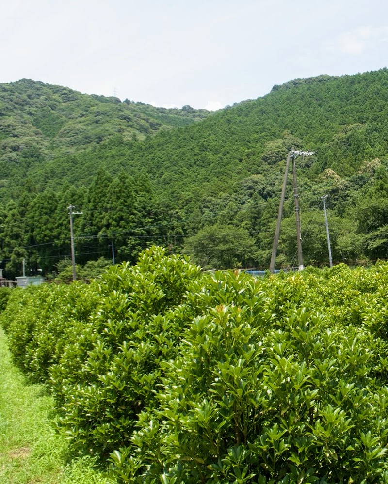 古座川・みのり農園