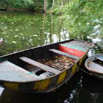 Photo n°6 de l'avis de Ronald.a fait le 08/10/2018 à 18:49 sur le  Palm im Samannshof à Neukirchen-Vluyn