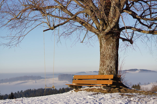 Comentarii opinii despre Sonnensplitz