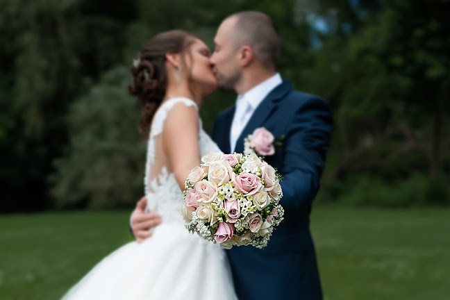 Hozzászólások és értékelések az Német Gabriella fotográfus - esküvői és családi fotózások, portré-ról