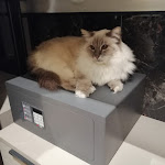 Photo n°4 de l'avis de Taxiferomilano. fait le 15/01/2022 à 09:49 sur le  Hotel Michelangelo à Riccione