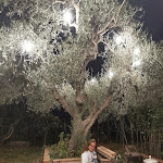 Photo n°16 de l'avis de Birnat.l fait le 04/09/2022 à 06:30 sur le  Alba Chiara à Pisticci