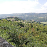 Photo n°5 de l'avis de Stefano.e fait le 24/07/2020 à 08:46 sur le  Trattoria Da Piero e Silvana à Todi