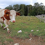 Photo n°3 de l'avis de Emilio.i fait le 09/08/2020 à 09:49 sur le  Il Rifugio del Massaro à Guardiaregia