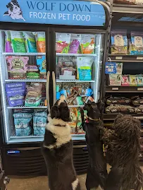 Civilized Wolf Grooming & Pet Supplies - Car repair in Vancouver, WA, Portland - Rated 4.9/5