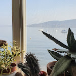 Photo n°9 de l'avis de Gianluca.i fait le 28/02/2021 à 19:31 sur le  Bella Vista di Meina à Meina