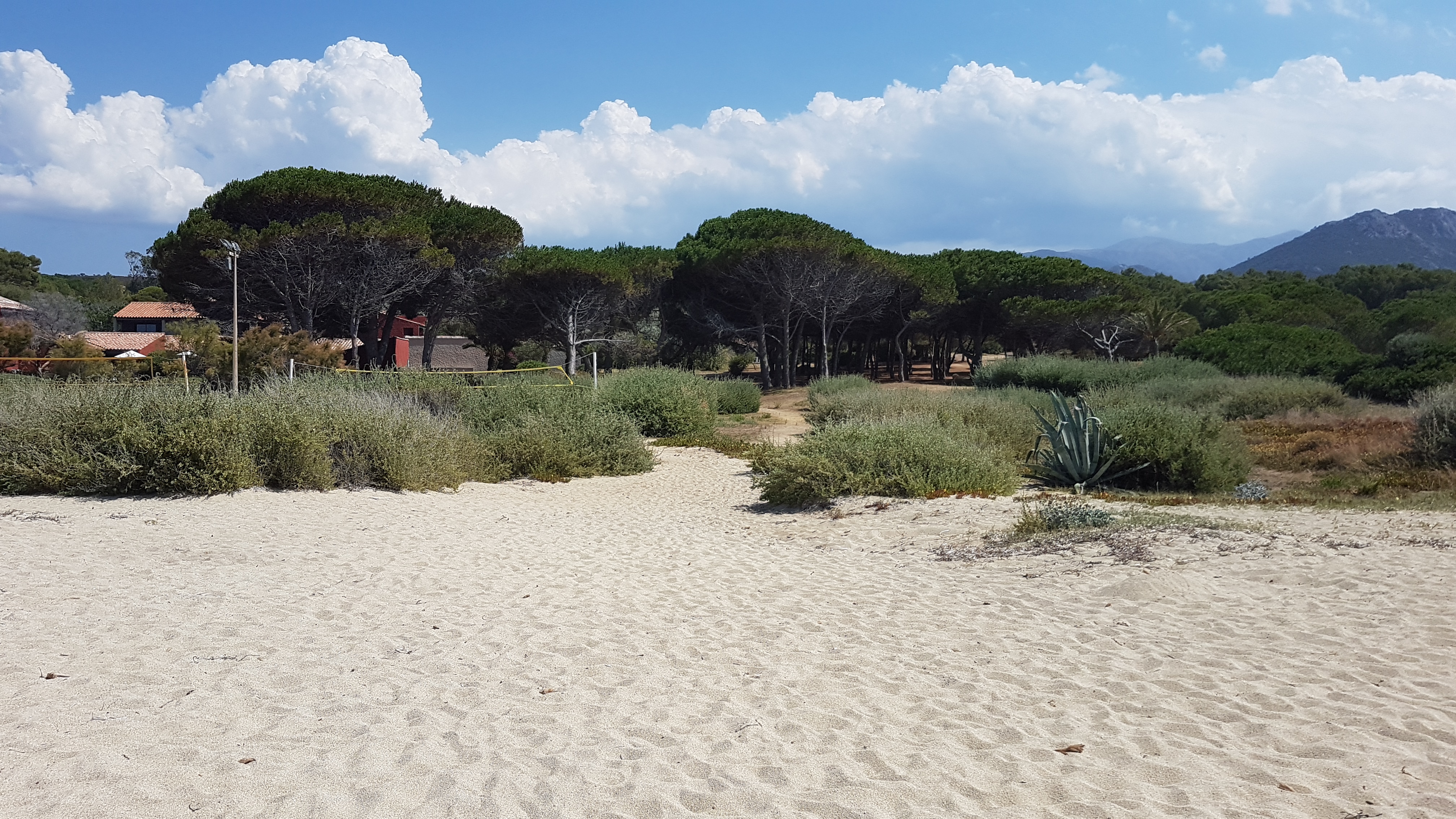 Photo n° 2 de l'avis de Luc.a fait le 14/07/2020 à 16:32