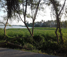 Parque Torres Sur photo