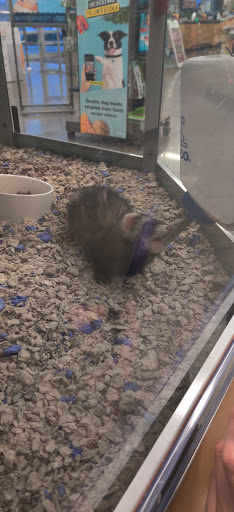 Pet Supply Store «Petco Animal Supplies», reviews and photos, 31419 Pacific Hwy S, Federal Way, WA 98003, USA