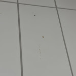 Photo n°9 de l'avis de Thomas. fait le 08/06/2023 à 12:23 sur le  Allee Hotel | Karlsruhe à Karlsruhe