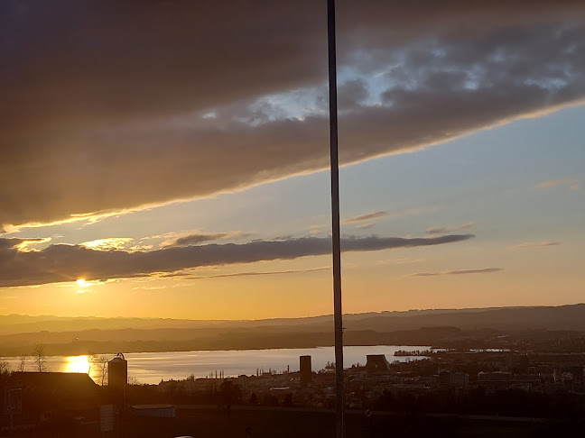 Restaurant Moosrank - Zug