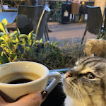 Photo n°2 de l'avis de Elisabetta.e fait le 04/01/2024 à 19:58 sur le  La veranda à Sesto Calende