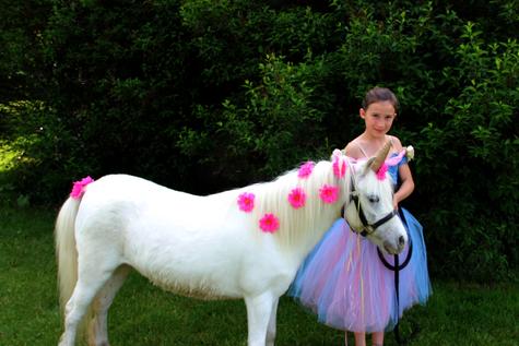 Parties for Kids! Birthday Characters Clown Pony Petting Zoo Magicians Bouncers