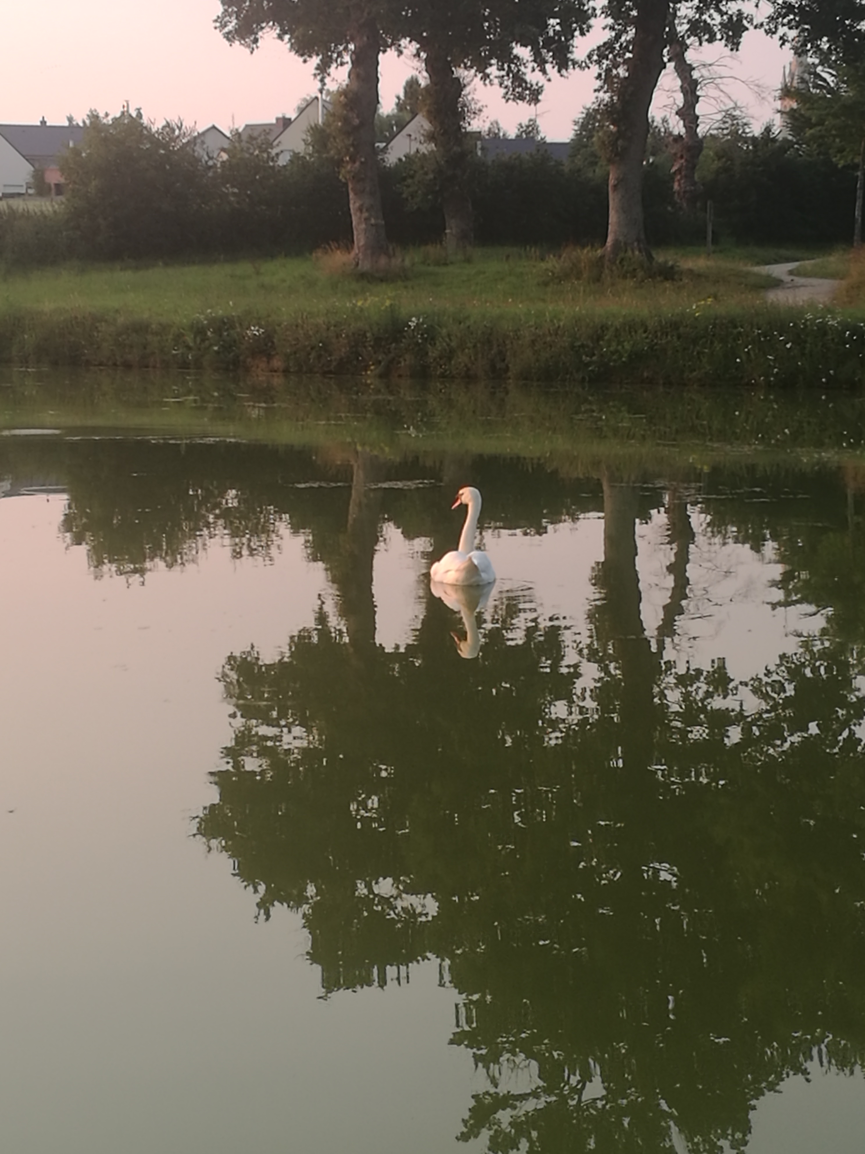 Photo n° 1 de l'avis de Daniel.i fait le 27/08/2020 à 18:43