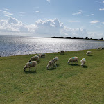 Photo n°4 de l'avis de Karel.c fait le 21/08/2021 à 06:43 sur le  Elli's Snackeria à Fehmarn