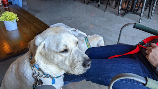 Winery «DUO Winery & Cider Co.», reviews and photos, 2150 Dickinson Ave, Dickinson, TX 77539, USA