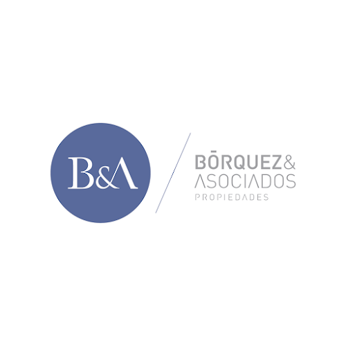 Comentarios y opiniones de Bórquez y Asociados