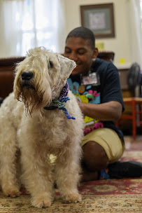 Rodney S. Scott, Attorney at Law - Photo 3 - Car repair in Longview, TX, Longview