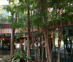 BB HOUSE เชียงใหม่ photo