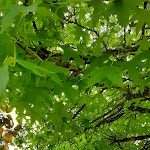 Photo n°4 de l'avis de Cristina.e fait le 02/08/2021 à 22:40 sur le  Casa de Campo São Rafael - Óbidos à Óbidos