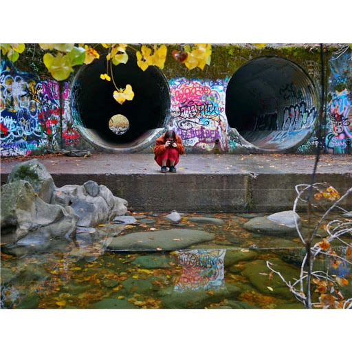 Nature Preserve «UC Davis - Stebbins Cold Canyon Natural Reserve», reviews and photos, CA-128, Winters, CA 95694, USA