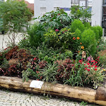 Photo n°6 de l'avis de Evans. fait le 26/08/2023 à 18:22 sur le  MARAZ cafe • wine • bar à Gerlingen