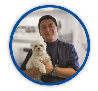 Companion Care - Orpington en Orpington