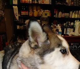 Granero y Farmacia Veterinaria Zoo photo