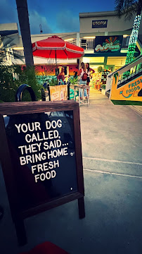 Pet Power Studio - Photo 2 - Car repair in Encinitas, CA, Oceanside