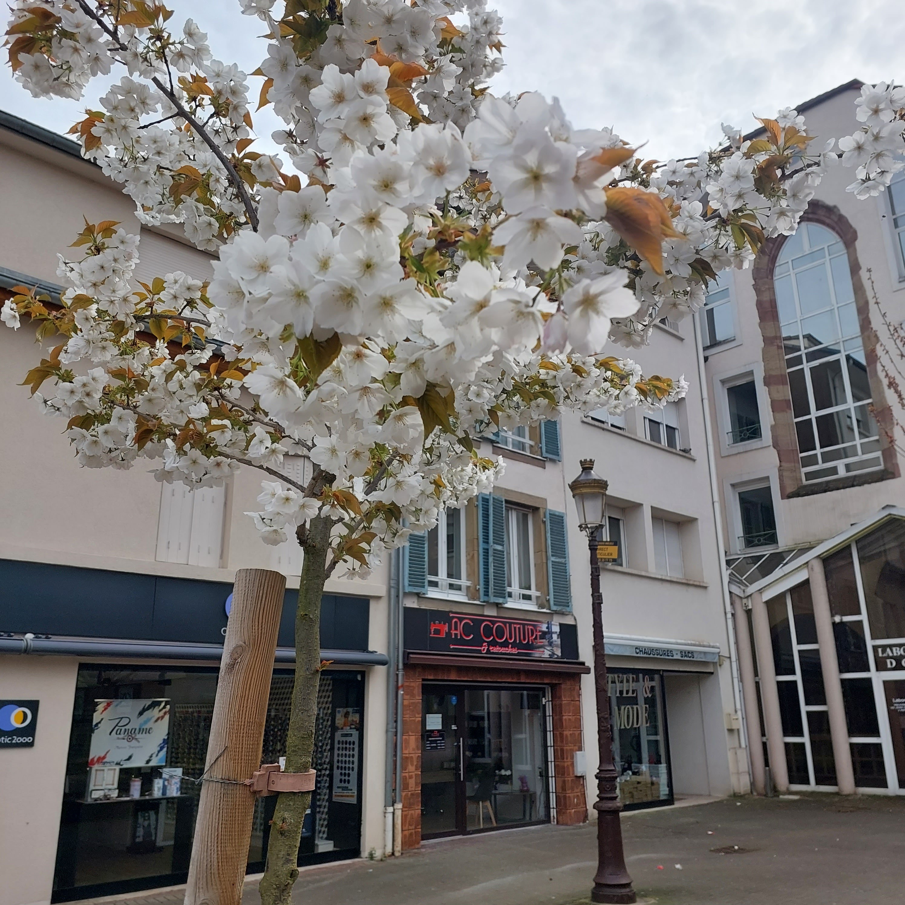 Photo n° 4 de l'avis de Lyudmyla.r fait le 17/04/2023 à 14:24