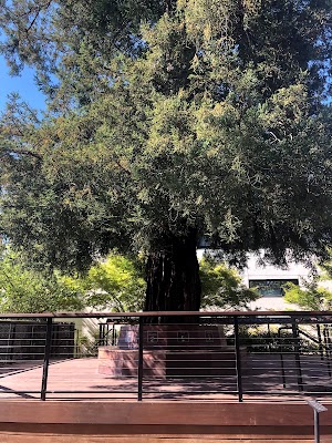 Charles M. Schulz Museum and Research Center - photo 26