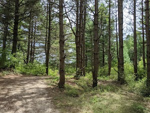 Kohler-Andrae State Park - photo 14