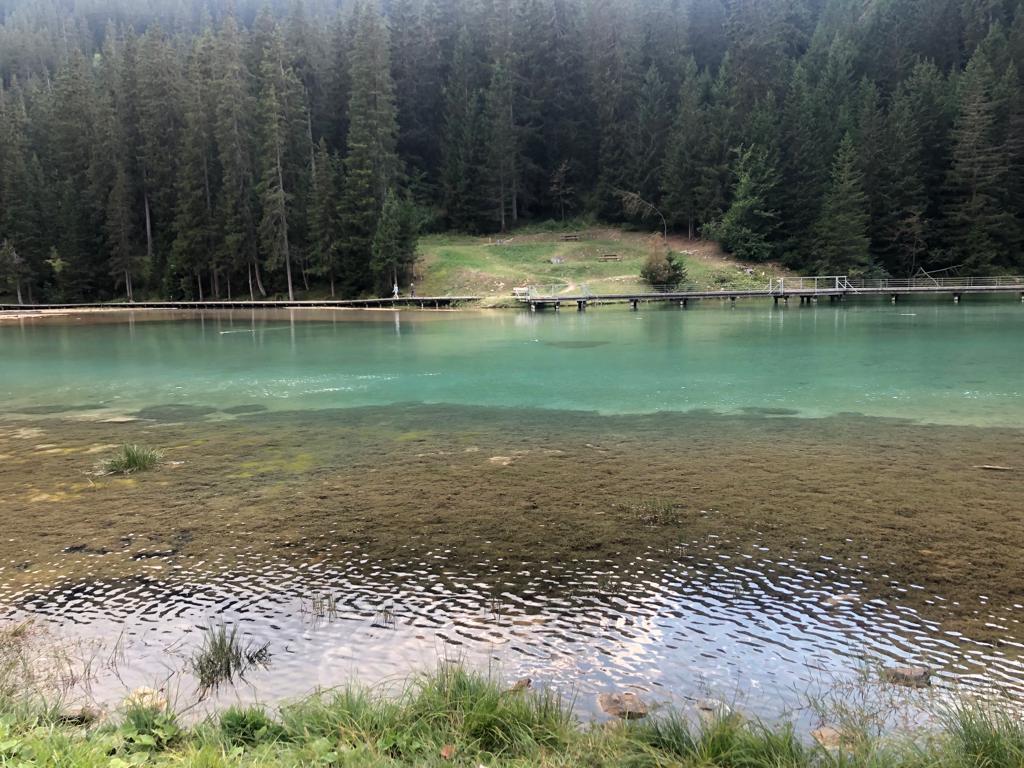 Photo n° 6 de l'avis de Carlos.� fait le 01/09/2022 à 15:43
