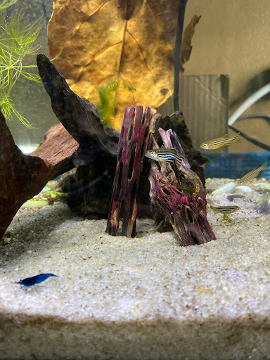 Pet Store «Animal Island Pet Shop», reviews and photos, 14411 S Cicero Ave, Midlothian, IL 60445, USA